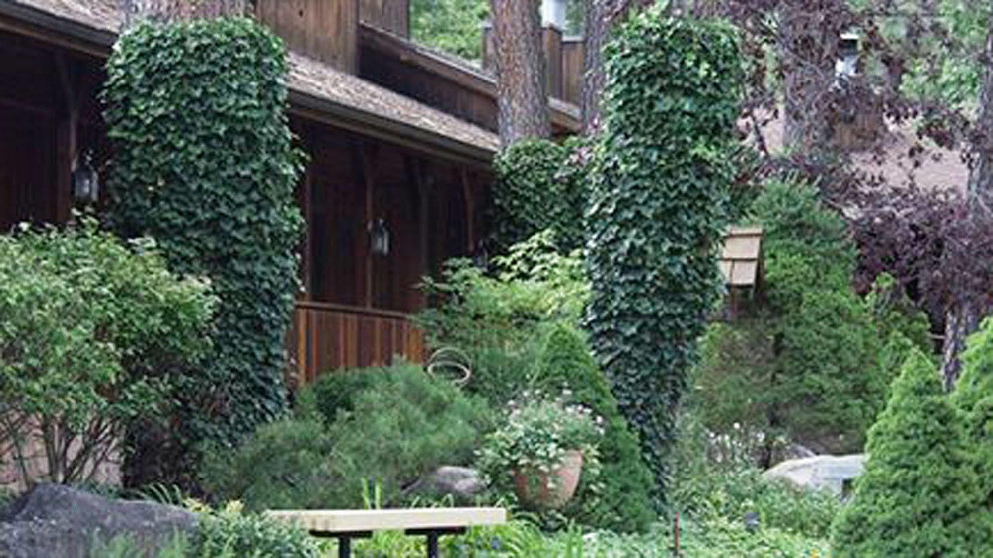 Shadow Mountain Lodge And Cabins Ruidoso Extérieur photo